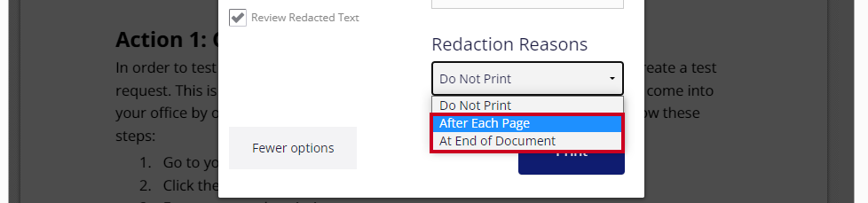 The Redaction Reasons drop-down menu is highlighted in the lower-right corner of the Print pop-up window. The options presented are 'After Each Page' and 'At End of Document'.