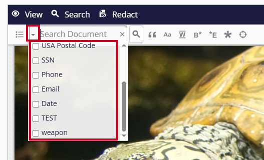 Search Document Drop Down Arrow Menu and Options- nr.png