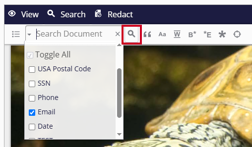 Search Document Magnifying Glass Search Button.png